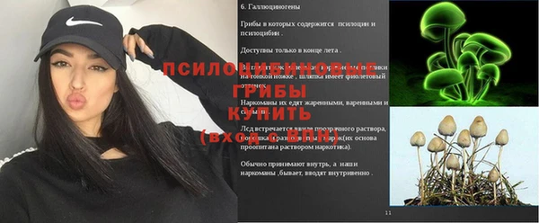 амф Богородск