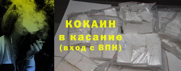 PSILOCYBIN Богданович