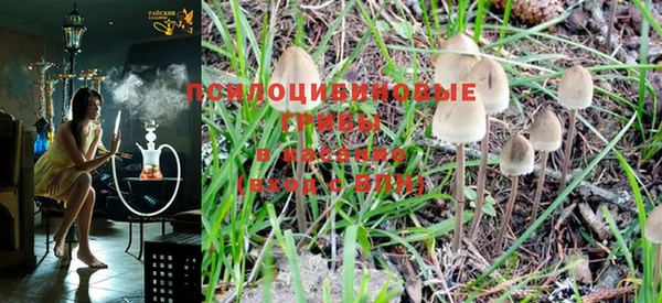 PSILOCYBIN Богданович