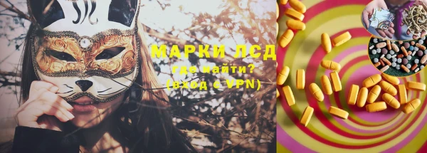PSILOCYBIN Богданович