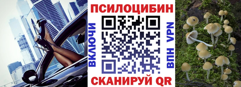 Псилоцибиновые грибы Psilocybine cubensis  купить наркотики цена  Кирово-Чепецк 